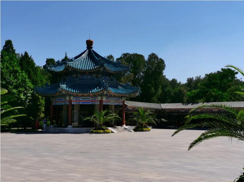 北京推出111个公园赏花片区