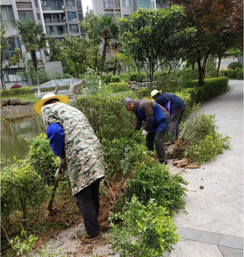 物业绿化